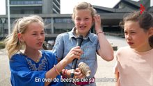 3 meisjes met een microfoon